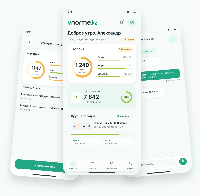 Интерфейс приложения vnorme.life